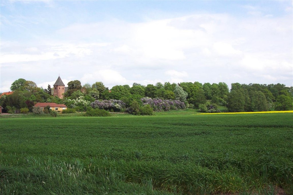 Blick über die Wesermarsch auf die Daverdener Kirche